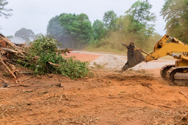 Ground Clearing in Pleasant Grove