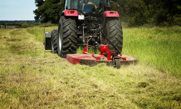 Brush Clearing Service in Pleasant Grove