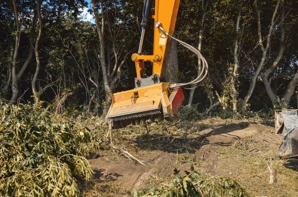 Brush Removal Service in Pleasant Grove