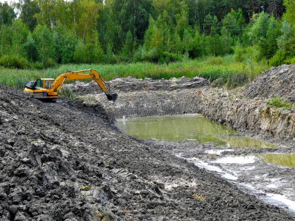 Cost of Lake Lot Clearing in Pleasant Grove