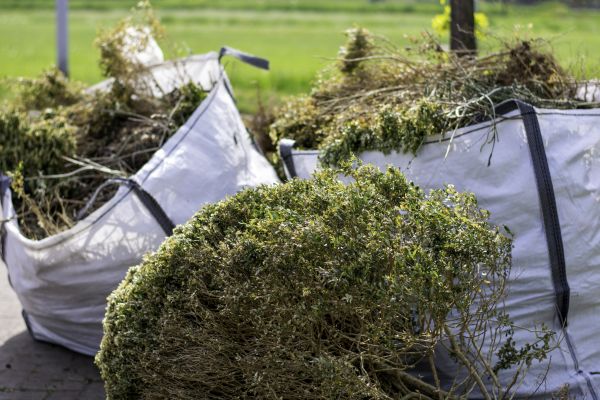 Cost of Bushes Clearing in Pleasant Grove