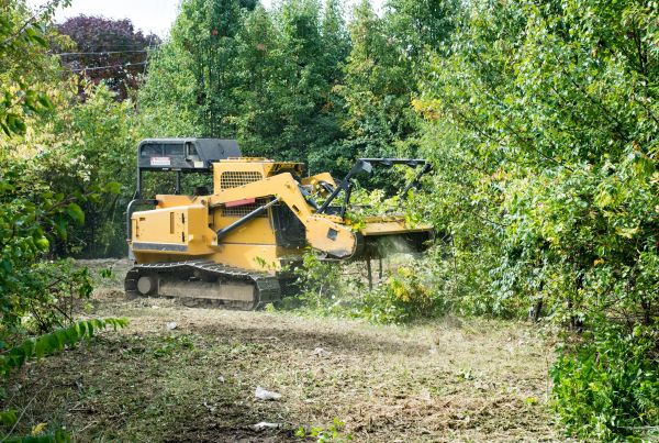 Cost of Pathway Clearing in Pleasant Grove