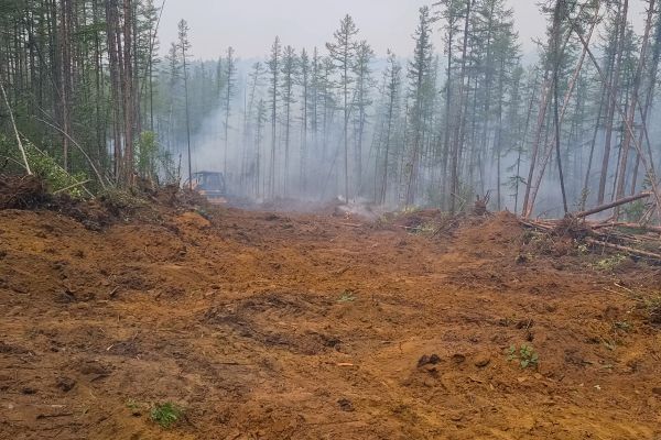 Cost of Hill Clearing in Pleasant Grove