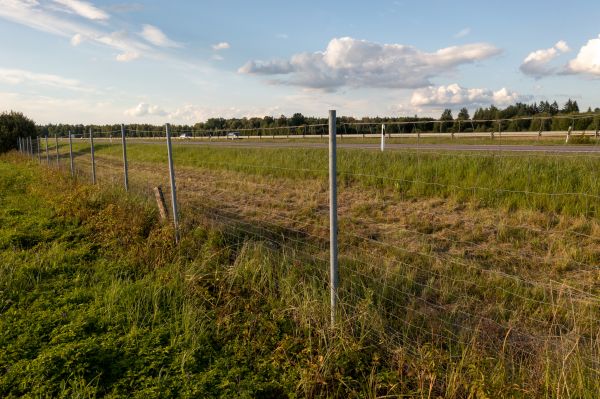 Cost of Property Line Clearing in Pleasant Grove