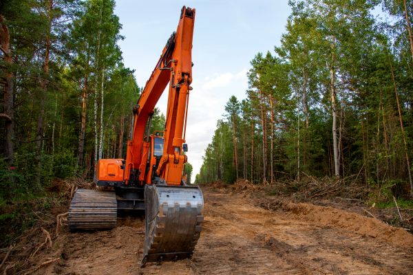 Cost of Backhoe Land Clearing in Pleasant Grove