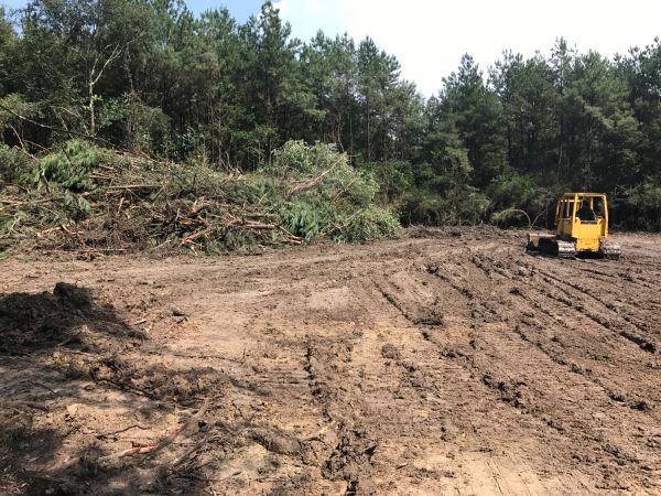 Cost of Thicket Clearing in Pleasant Grove