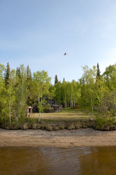 Cost of Waterfront Land Clearing in Pleasant Grove