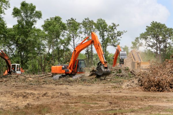 Cost of Commercial Lot Clearing in Pleasant Grove