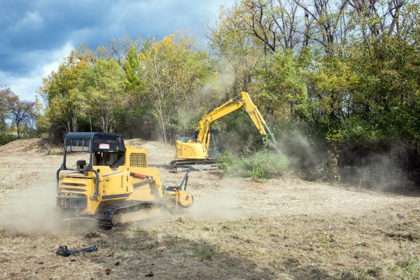 Cost of Terrain Clearing in Pleasant Grove