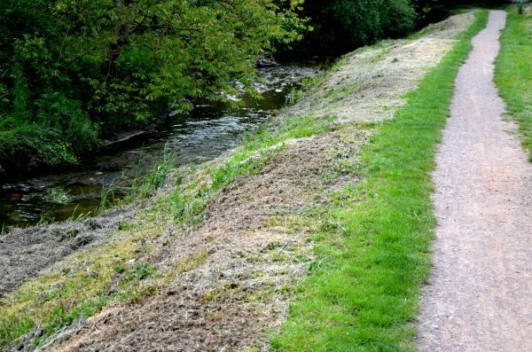 Cost of Trail Cutting in Pleasant Grove
